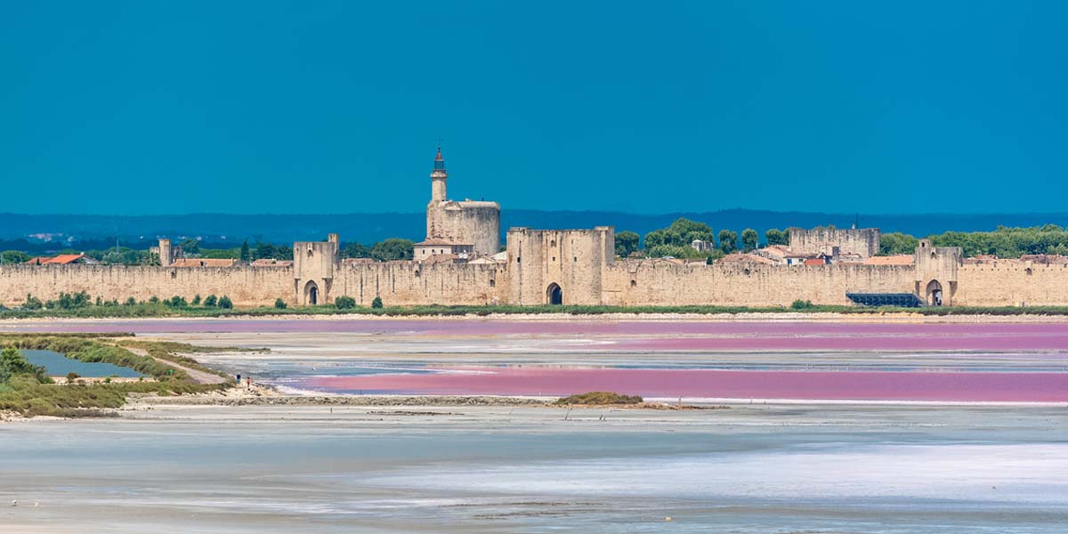 camargue vela francia crociera gennaio scuola