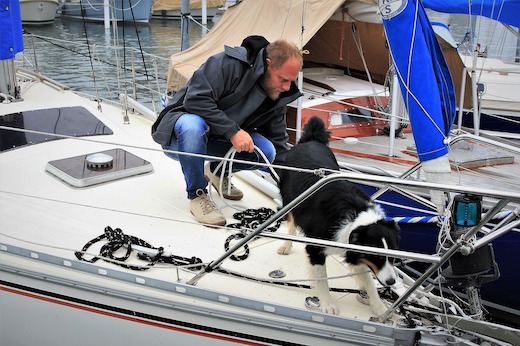 cane a bordo dog sail vela barca charter